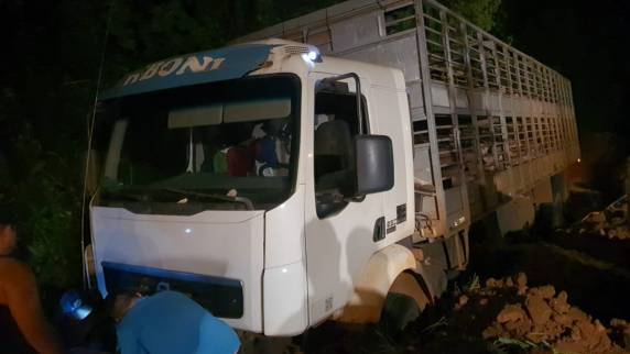 Caminhão carregado de suínos tomba em Boa Vista do Buricá